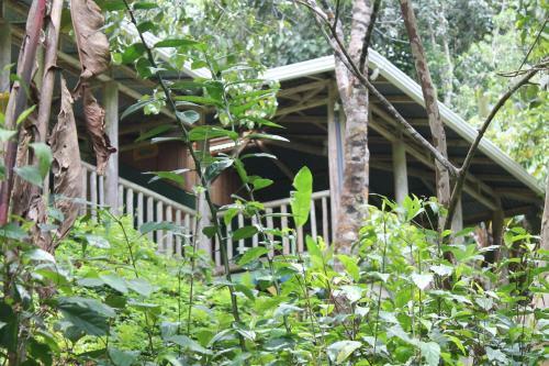 Albergue Monta�a Verde