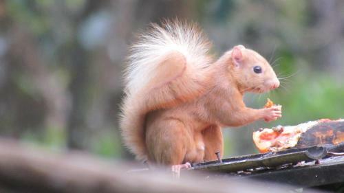 Albergue Monta�a Verde