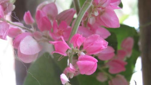 Albergue Monta�a Verde