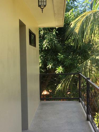 Hostal Blue Zone House