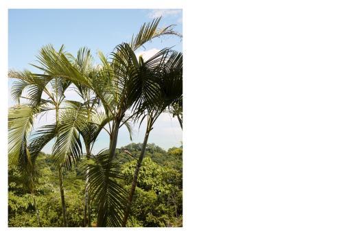 Private Luxury Villa For 4 Guest By Night: Villa Riviera