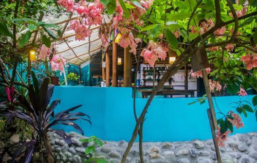 Bed & Breakfast Greensong Santa Teresa