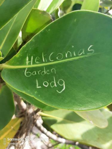 Hostal Garden Of Heliconias Lodge