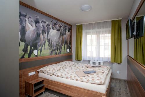 Hotel U Kon?