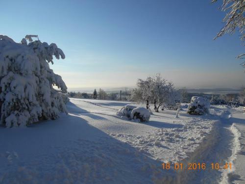 U Jeri?