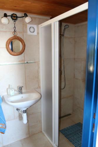 Apartment Radikov42