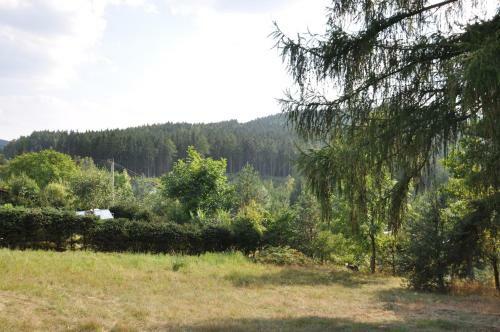 Holiday Home In Ceska Cermna 1036