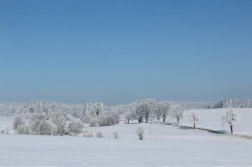 Hostal Penzion Fo?tovna