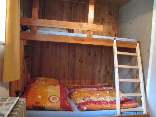 Holiday Home In Cachrov/b�hmerwald 35500
