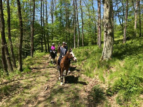 Agroturismo Farma Noe