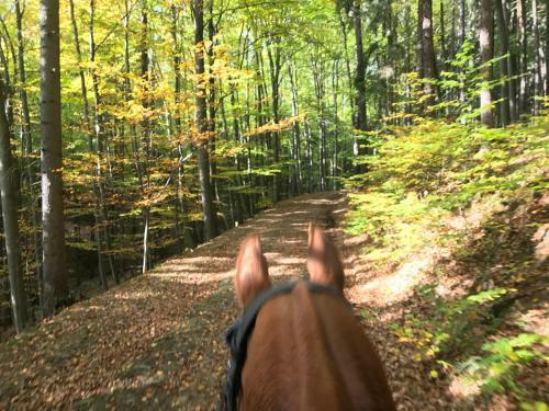 Agroturismo Farma Noe