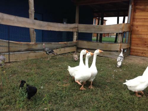 Agroturismo Farma Noe