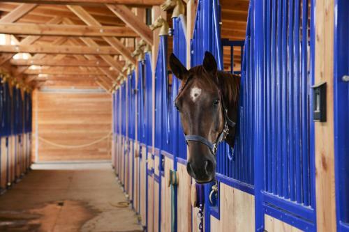 Agroturismo Farma Noe