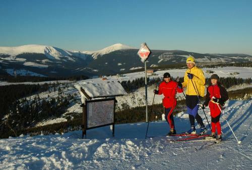 Apartm�ny U Kam�nku