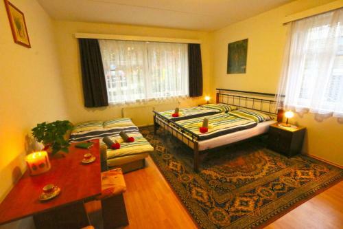 Ski Apartment