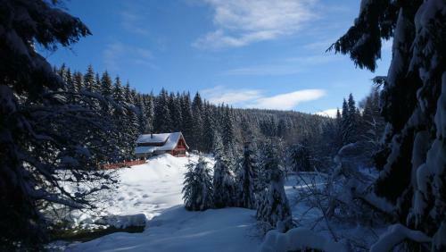 Hostal Penzion Jezirko