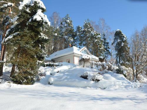 Holiday Home Borivoj