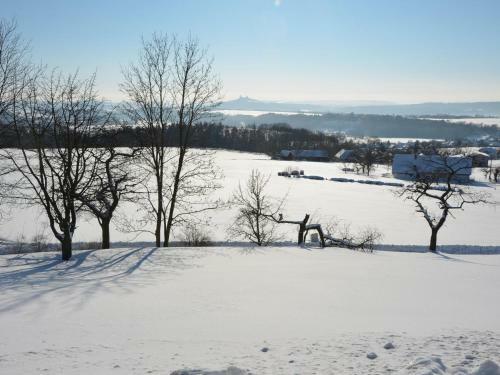 Holiday Home Borivoj