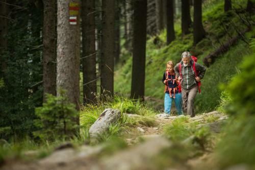 Hostal Penzion Pod ?er�kem