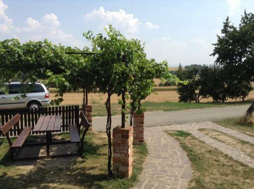Vinn� Sklipek U Sidonie