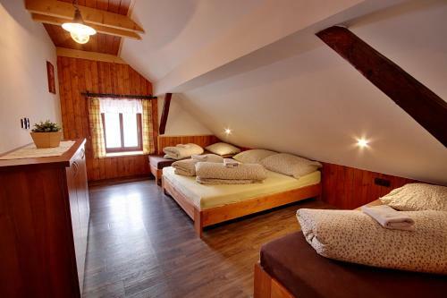 Lodge Chalupa Chlum Misa Podkrovi