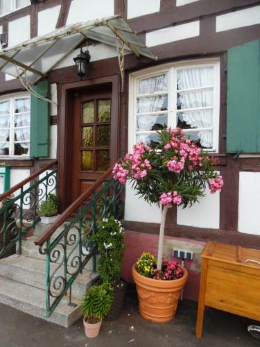 Bed & Breakfast Hotel/pension Blume