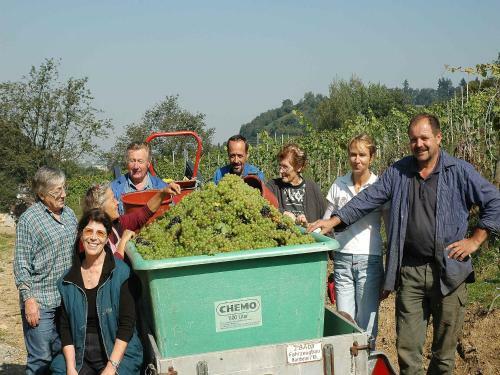 Apartamento Weingut Wissler - Brennerei