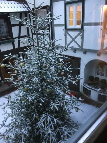 Die Gr�ne Bettlad Boutique-hotel