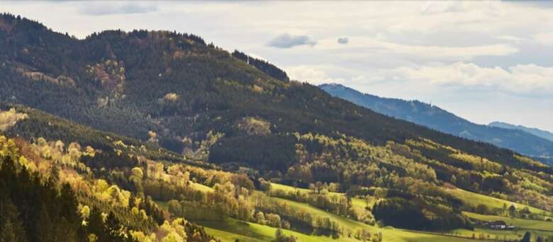 Elzland Hotel Pfauen