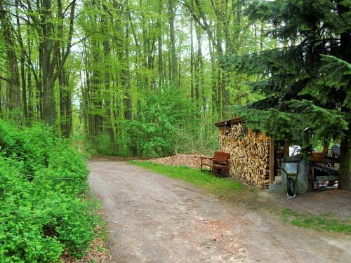 Apartamento Altes Forsthaus Garzau