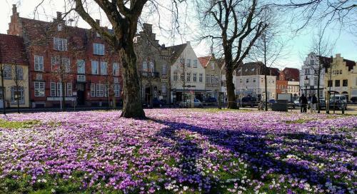 Albergue Jugendherberge Friedrichstadt