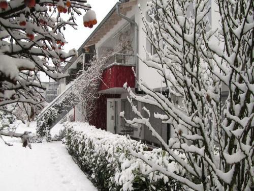 Apartamento Ferienwohnung Haus Auryn