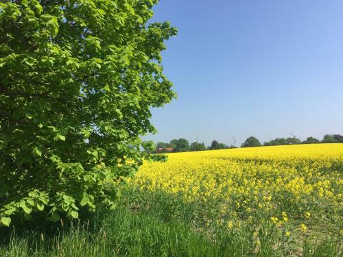 Bed & Breakfast Mein-ostseepl�tzchen