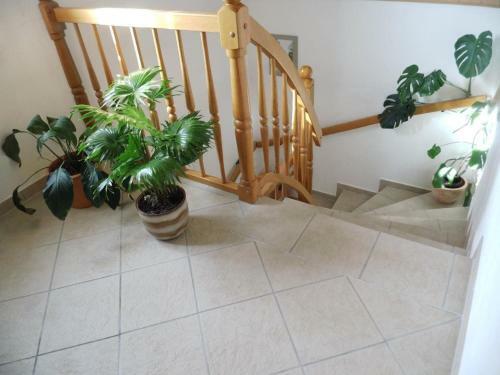 Apartamento Ferienwohnung-mund