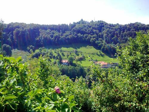 Gorgeous Apartment In Passau Near River