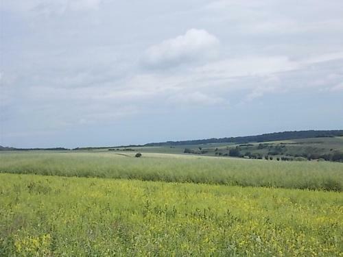 Apartamento Ferienwohnung Sonnenblume