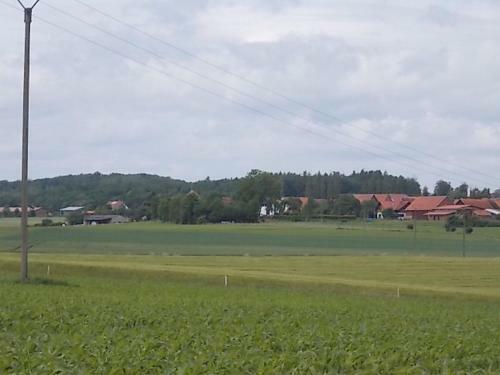 Apartamento Ferienwohnung Sonnenblume