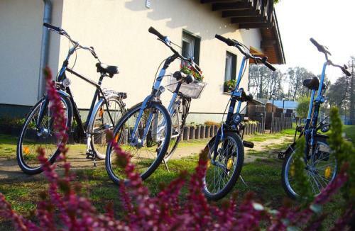 Apartamento Urlaub Mit Alpakas