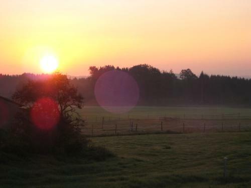 Apartamento Ferienwohnung Am Ried