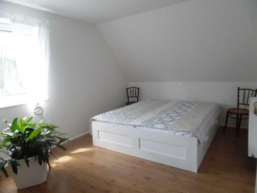 Apartamento Seeblick Ferienwohnung Am Rursee - Nationalpark Eifel