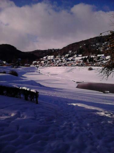 Apartamento Seeblick Ferienwohnung Am Rursee - Nationalpark Eifel