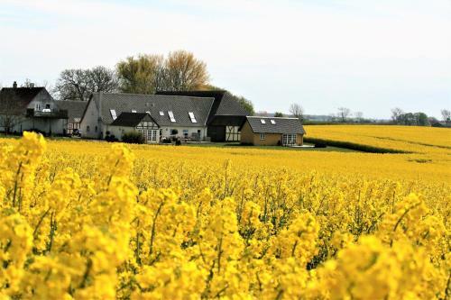 R�dk�rg�rd Bed&breakfast