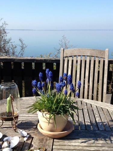 Hotel Kal�vig Center