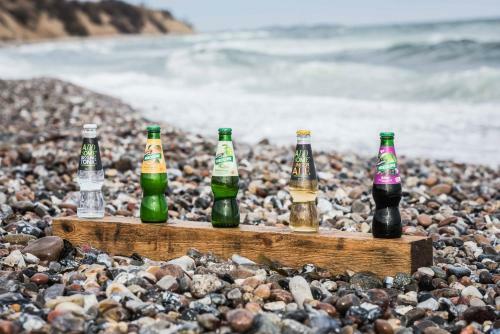 Posada Hotel Den Gyldne Hane