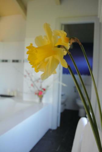 Hotel Rural El Algaire