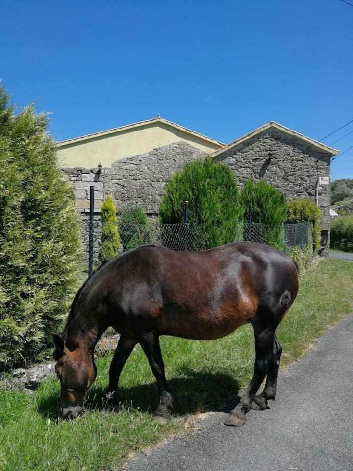 Posada Alc�zar Milmanda