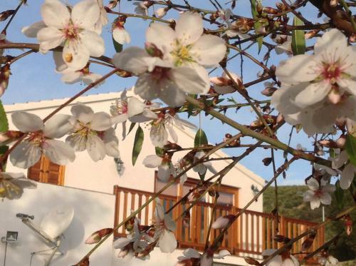 Hostal Cortijo Berruguilla Casa Rural