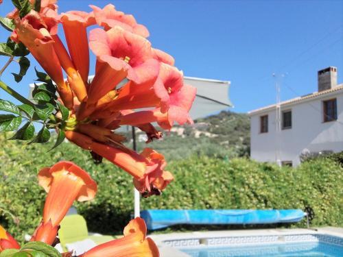 Hostal Cortijo Berruguilla Casa Rural