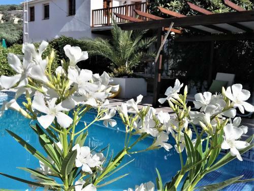 Hostal Cortijo Berruguilla Casa Rural