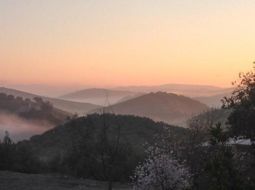 Hostal Cortijo Berruguilla Casa Rural
